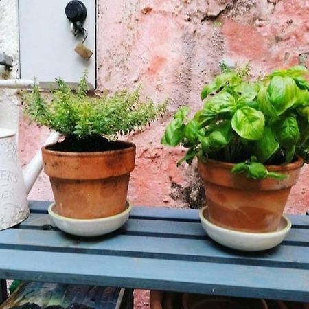 La Casa Di Mo Villa Albisola Superiore Eksteriør billede