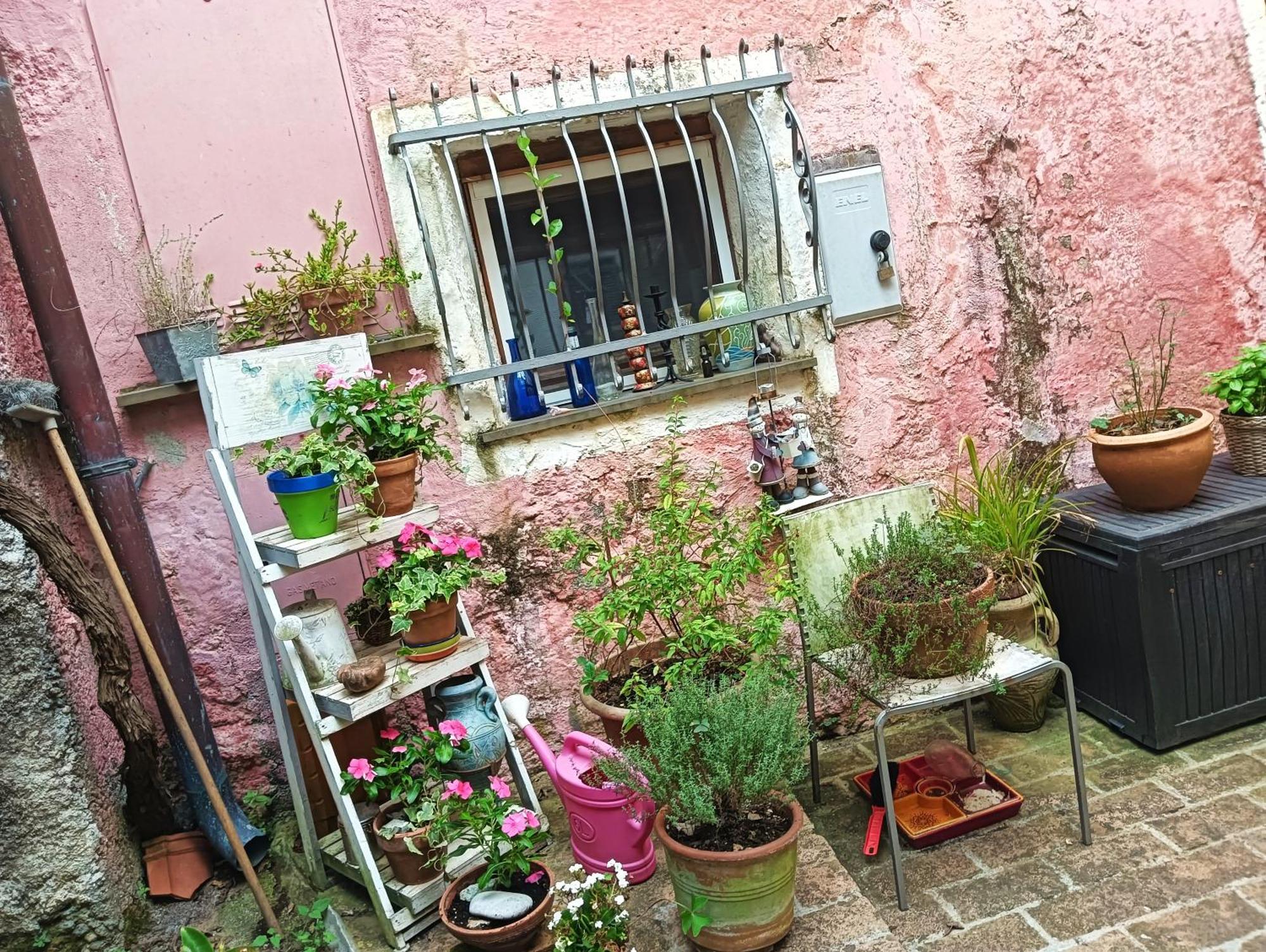 La Casa Di Mo Villa Albisola Superiore Eksteriør billede